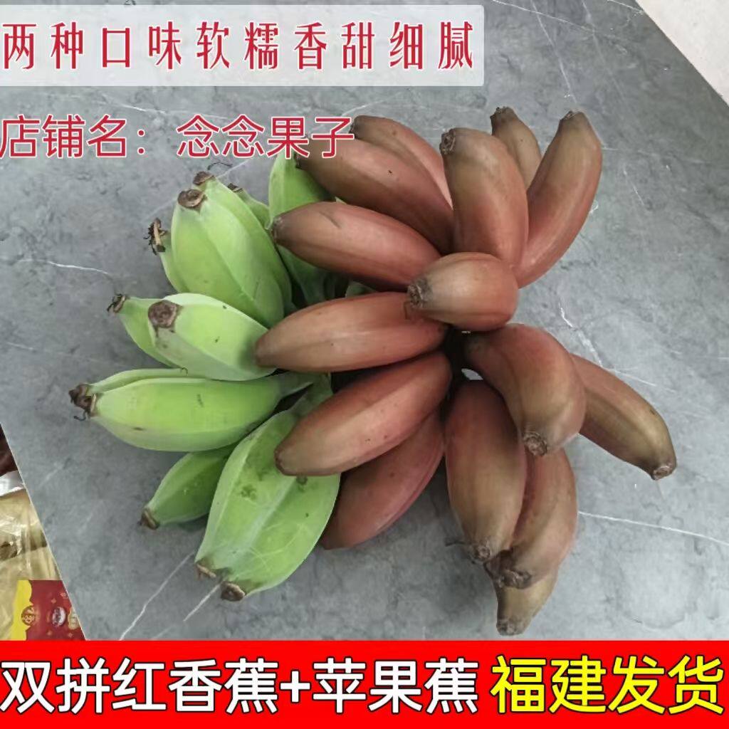 【现货】双拼南方红美人蕉苹果蕉香蕉