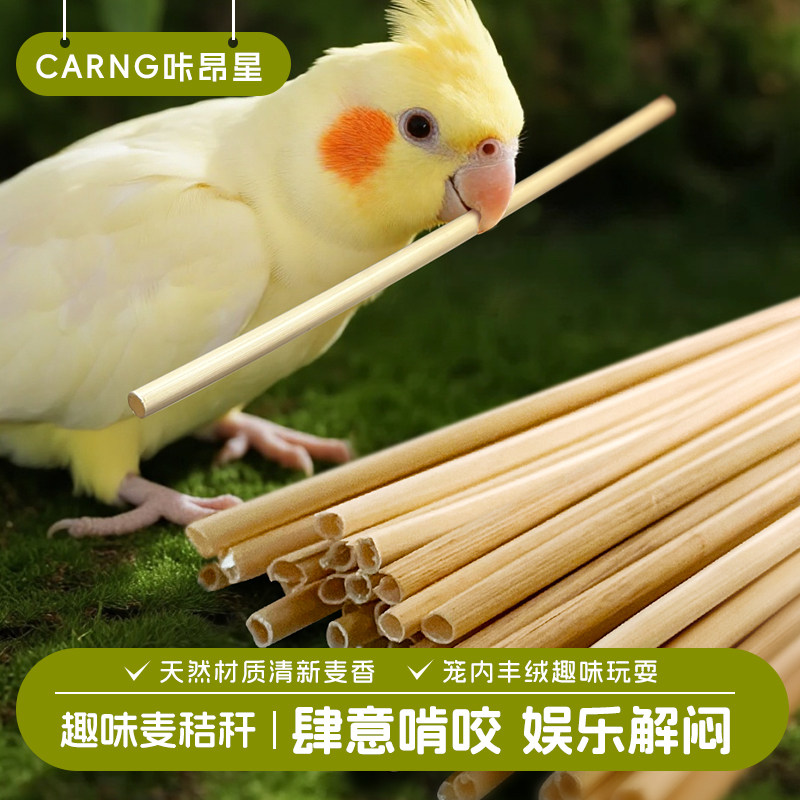 咔昂星鹦鹉玩具大全虎皮玄凤牡丹解闷自嗨啃咬磨嘴牙用品鸟笼配件