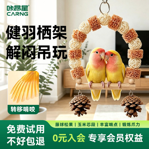 咔昂星鸟笼造景装饰鹦鹉玩具秋千笼内游乐场解闷自嗨天然树枝爬架