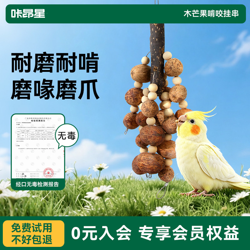 咔昂星鹦鹉玩具藤球吊环装饰家园挂件高颜值小鸟笼内造景美化布置图片
