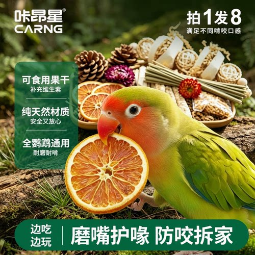 咔昂星牡丹鹦鹉啃咬玩具盒磨喙解闷自嗨鹦牡丹鹦鹉专用小玩具秋千