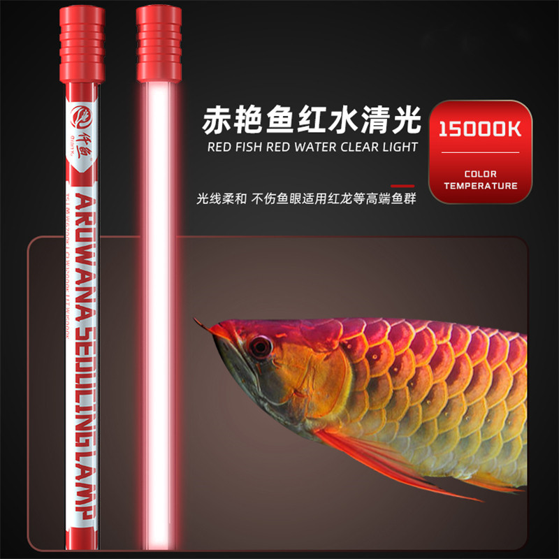 龙鱼专用发色灯诱色增色仟鱼T5鱼缸原子灯nec金龙红龙鱼灯潜水灯