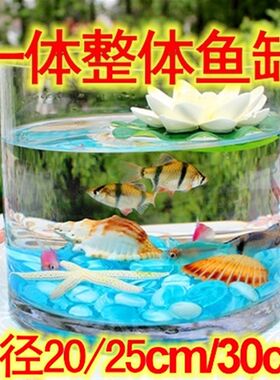 一体整体圆形圆柱玻璃超白热弯鱼缸圆筒球形缸椭圆水族箱加厚加高