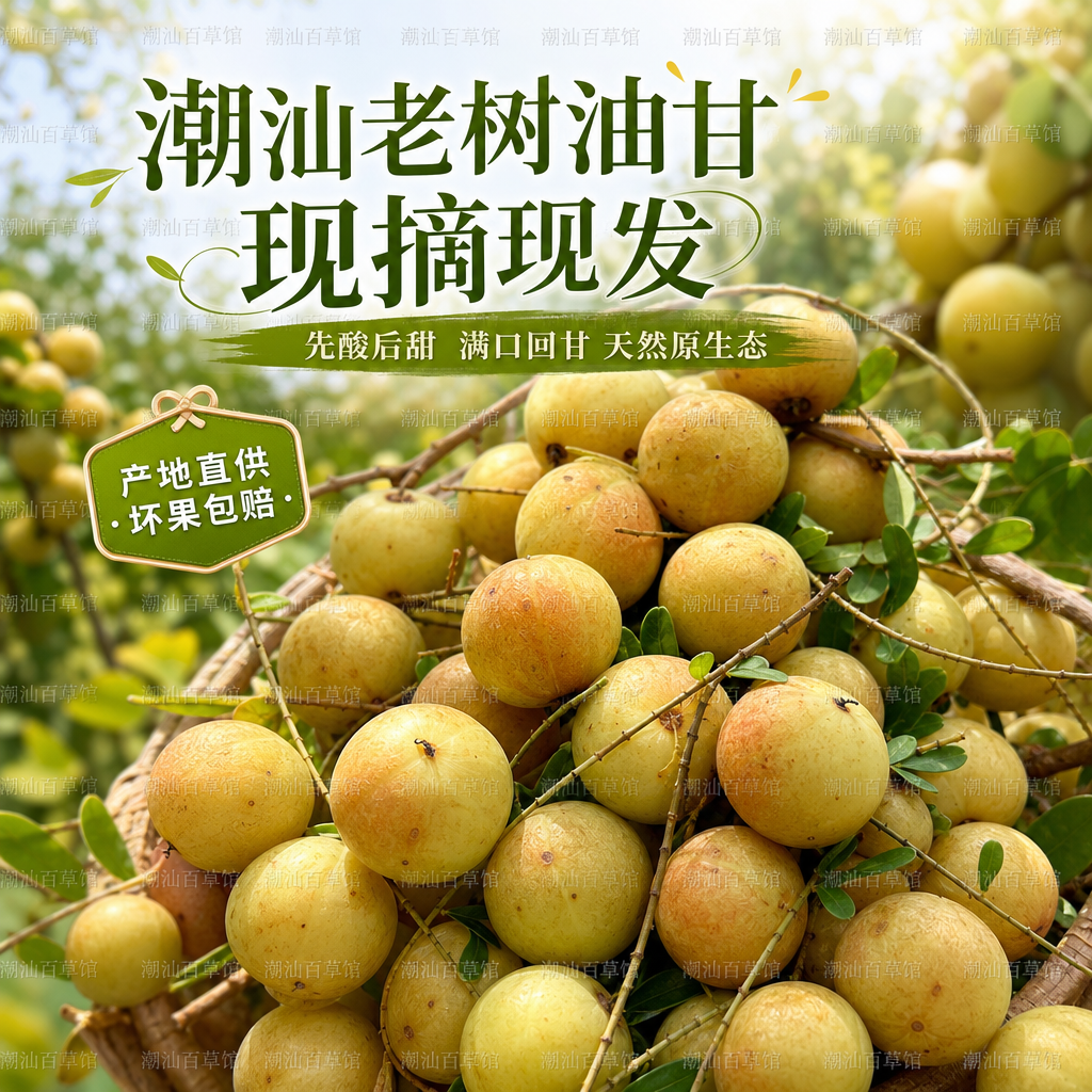 阿嬷的情书同款油甘果新鲜余甘子牛甘果甜种柿饼甜油柑水果榨汁
