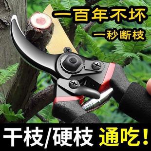德国专用进口钢剪树剪子果树剪修枝剪刀家用花木葡萄修剪镐强力斧