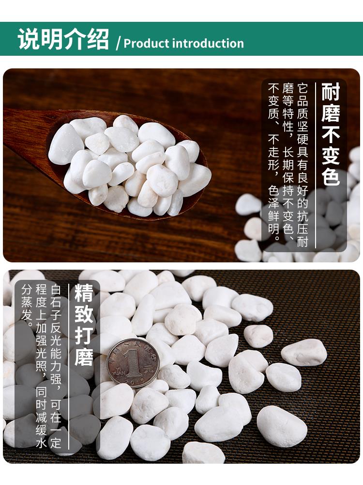 广东天然白石子园艺盆栽石头多肉铺面庭院造白石子白色小石头