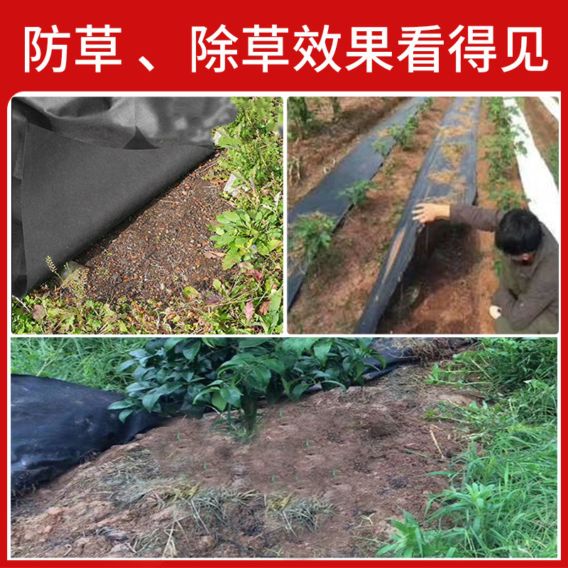 生态防草布厂家直销除草布农用果园耐用地膜果树新型无妨地布槟榔