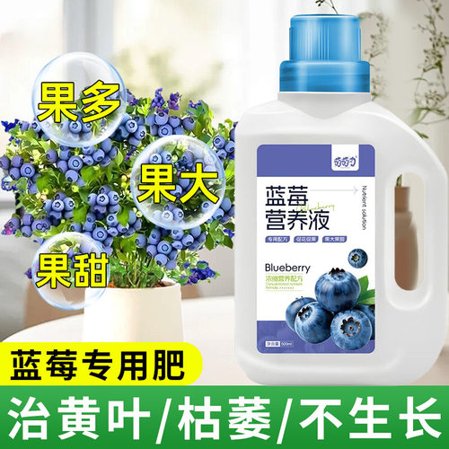 蓝莓营养液高效浆果蓝莓种植专用营养肥治黄叶促生长蓝莓营养液体