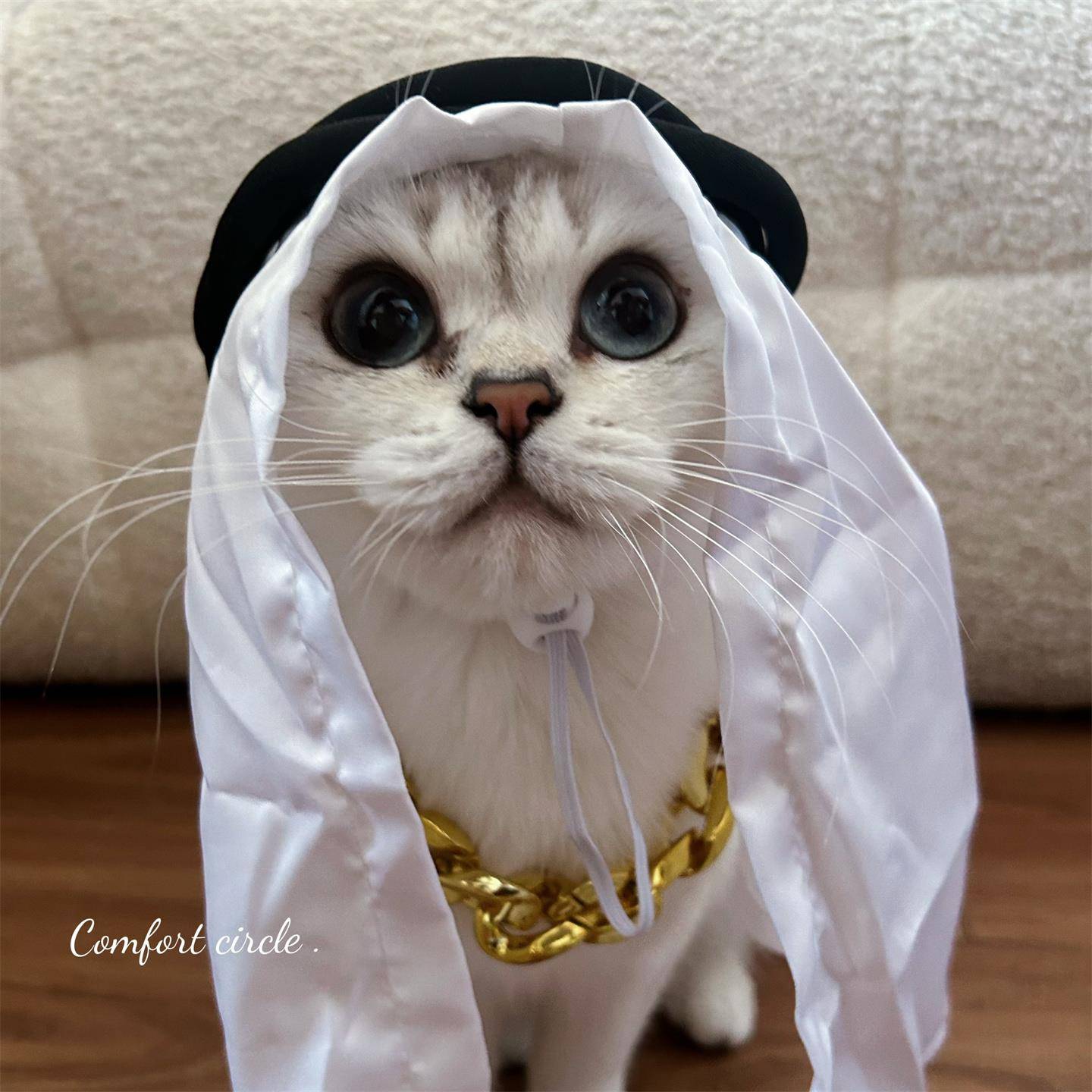 迪拜中东王子猫咪帽子头饰头套可爱猫狗狗装饰品宠物土豪变装头套