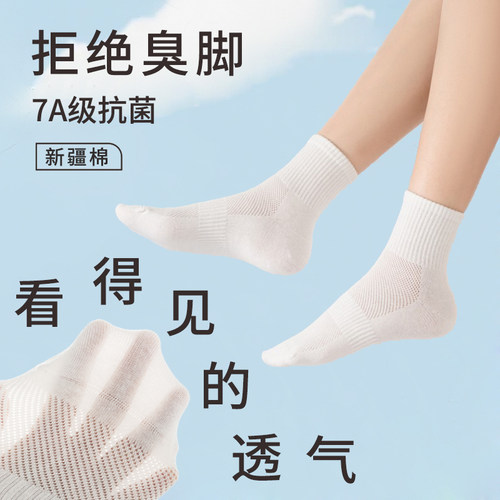 新疆棉袜子7A级抗菌防臭