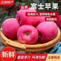 正宗甘肃庄浪红富士苹果新鲜整箱当季水果现摘脆甜冰糖心苹果