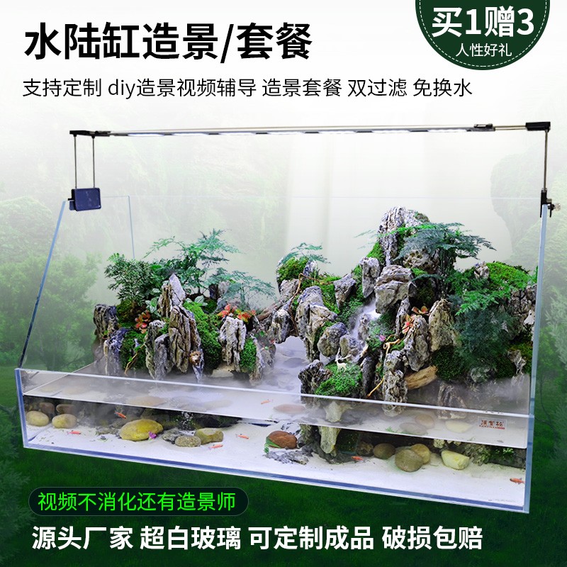 超白水陆缸雨林造景套餐材料生态超白植物水草微景观鱼缸两栖生态