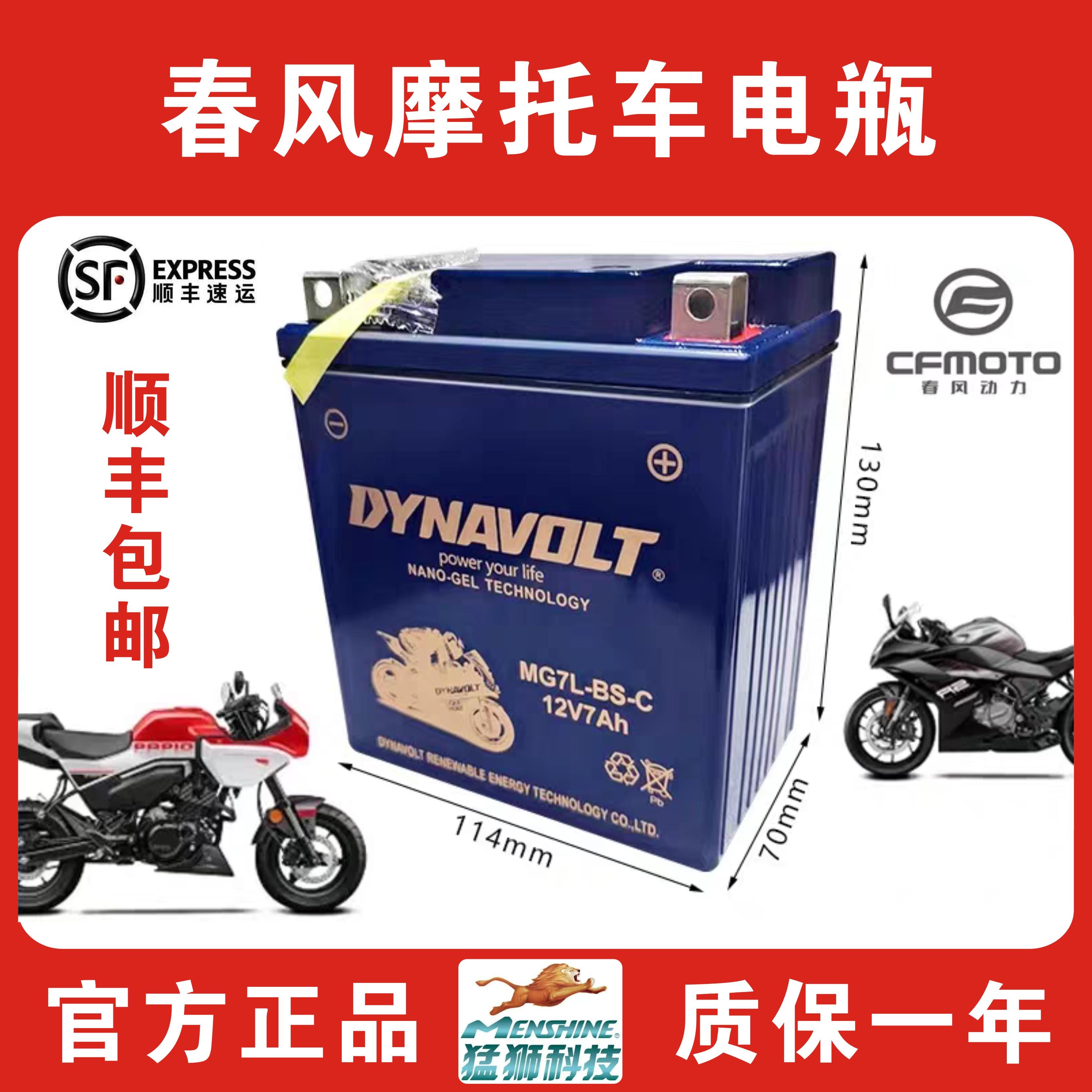 猛狮春风机车原装电瓶250sr/ST狒狒/250nk/nk150/125/国宾/650