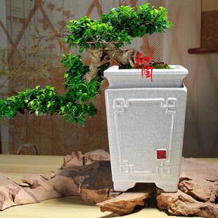 花盆陶瓷裂纹透气石湾盆四方高深中式兰花盆手绿植老桩盆景陶瓷盆