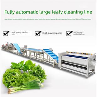 大型商用洗菜机多功能刷泡清洗生产线果蔬加工厂全自动洗菜机