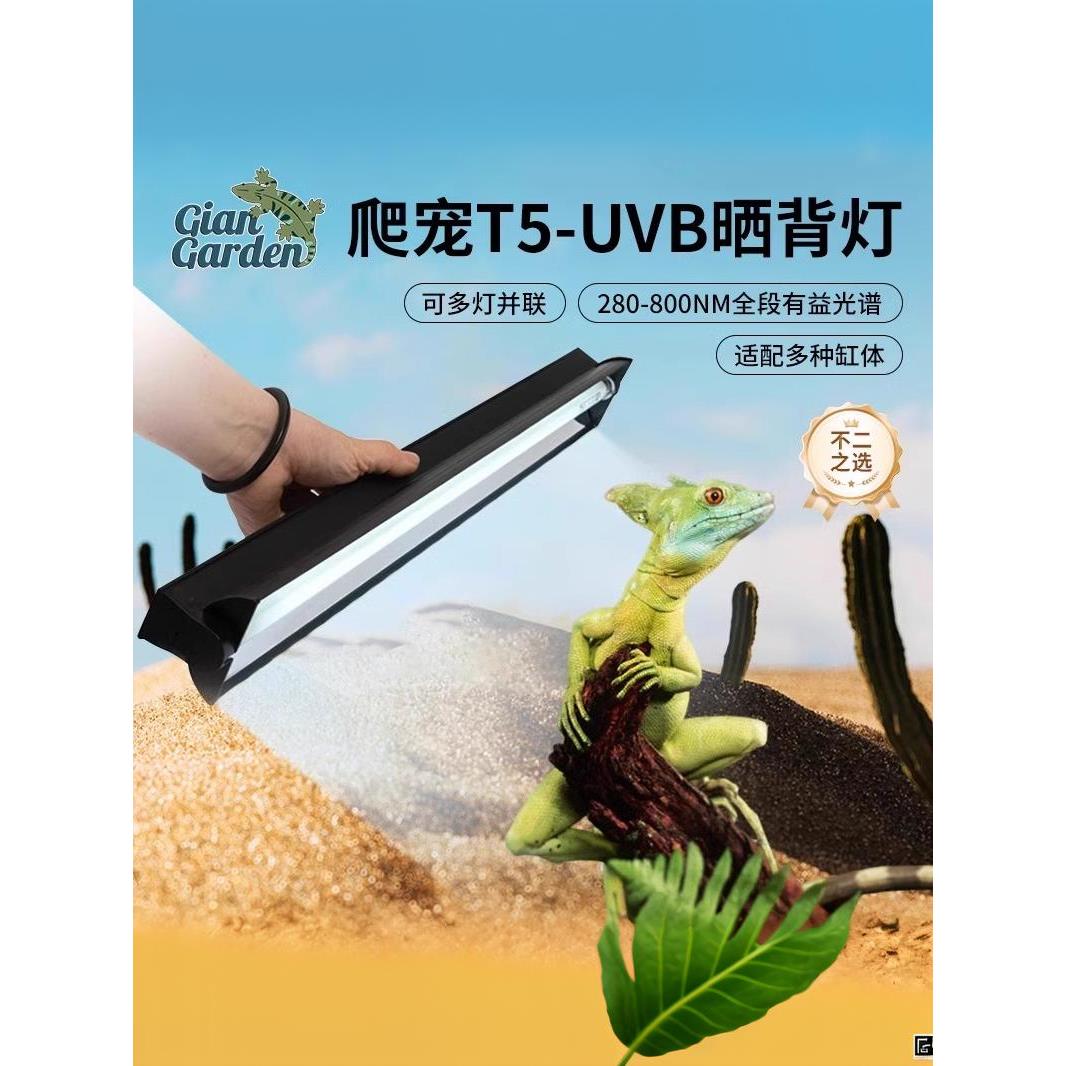 爬宠乌龟晒背灯uvb补钙全光谱爬虫T5灯管灯架鬃狮守宫蜥蜴补钙灯
