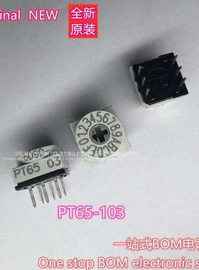 PT65103PT6503十六进制16位置150mA24VDC进口原装现货供
