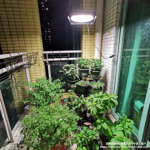 阳台太阳光模拟灯仿太阳全光谱灯室内养兰花卉蔬菜植物生长补光灯