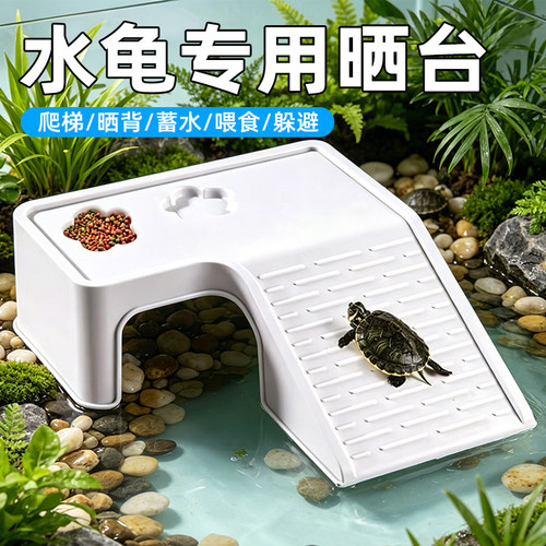 乌龟造景晒背喂食躲避爬台