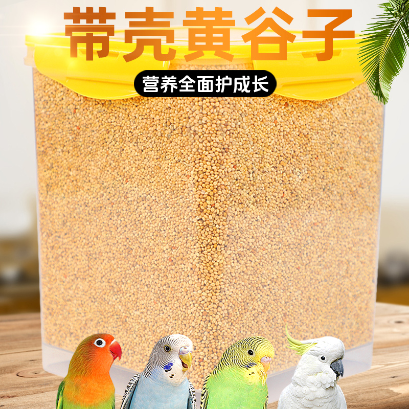 宠宠仔鹦鹉鸟粮颗粒饱满