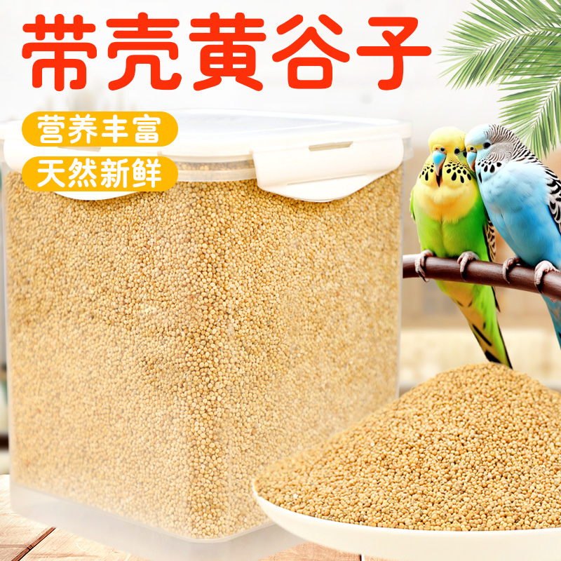 鹦鹉鸟粮饲料新黄谷子
