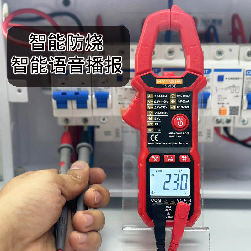 福禄克智能语音钳形表TS18