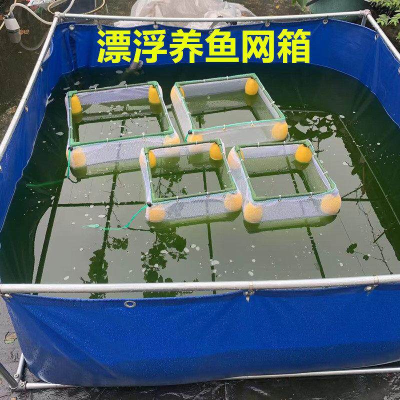 养鱼网悬浮存鱼框架漂浮网箱家用暂养隔离鱼苗垂钓养殖小鱼隔离网