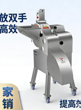 切肉丁机商用切丁机全自动切肉机微冻肉一次成丁颗粒机