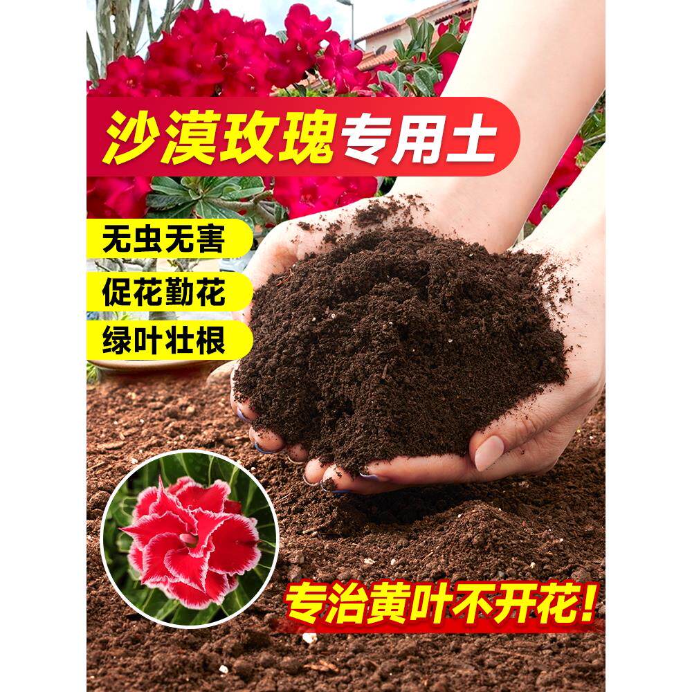 沙漠玫瑰专用土营养土养花通用专用泥炭土肥料花卉绿植家用盆栽土