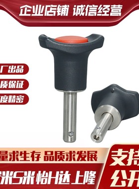 MI思米BLP08020/08025/08030/08040/08050-SUS球头锁紧销