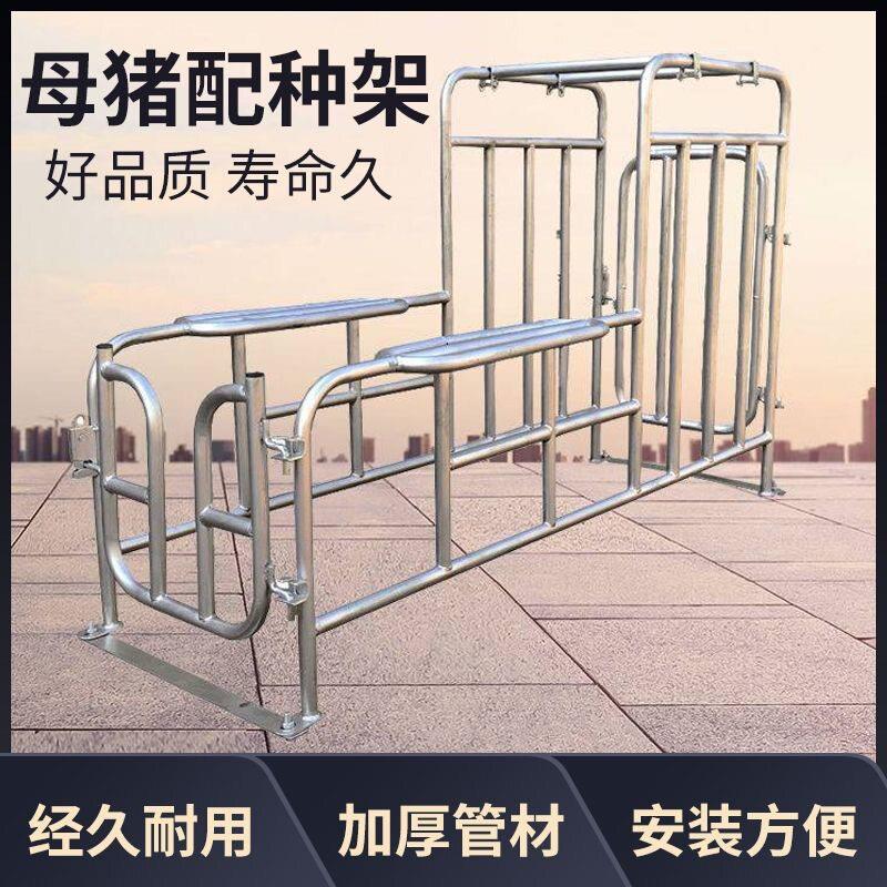 母猪配种架升降猪用配种栏矮脚配种器热镀锌落地配种架采精支架