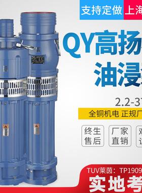 上海越浪QY油浸式潜水泵大流量农田灌溉泵清水喷泉泵380V高扬程