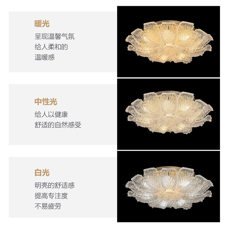 客厅灯吸顶灯法式轻奢高级感新式大厅卧室灯房间主卧餐厅灯具新款