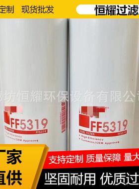 FF5319柴油滤清器滤芯BF7587燃油滤清器1R07493089679