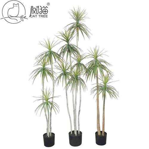 高品仿真热带树175cm狭叶龙舌兰橱窗盆景装饰龙血树盆栽大型植物