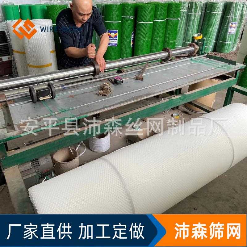 直销新款供应塑料网格片防坠防掉网养殖网塑料网片白色绿色鸡鸭垫