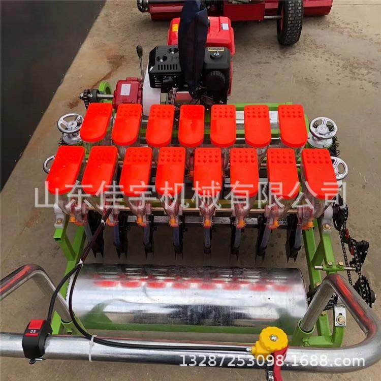 小颗粒种子种植机汽油多行蔬菜播种机 电动免间苗精播机,农机/农具/农膜,播种栽苗器/地膜机,淘宝优惠券,粉丝福利购,淘宝优惠卷