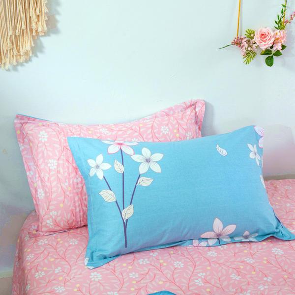 直销新款全棉纯棉秋冬印花枕套一只学生宿舍枕头套家用枕芯套