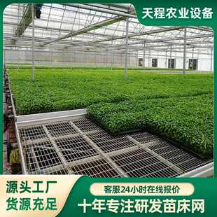 直销新款农业连栋大棚种植育苗床网片温室养殖苗床架子花卉移动苗