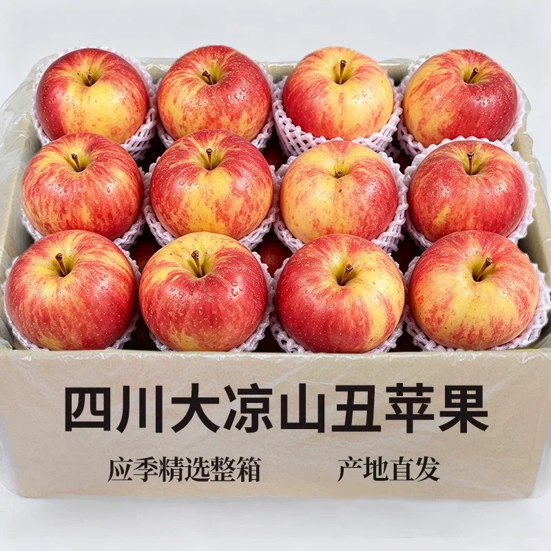 正宗丑苹果9颗富士【日限一单】