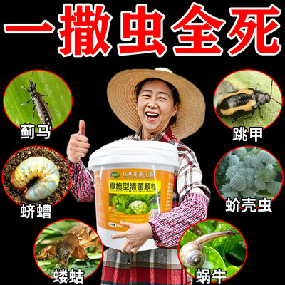 直接撒无毒无农残不伤菜