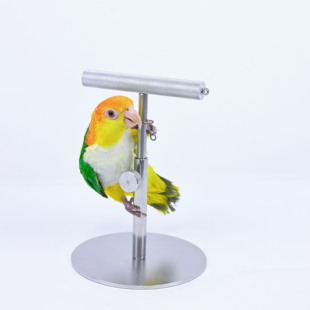 洪屿鹦鹉桌面站架铝合金不锈钢站棍磨嘴磨爪训鸟观赏啃咬玩具站台