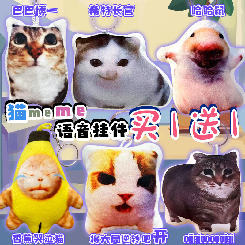 德语小猫希特猫meme猫oioii