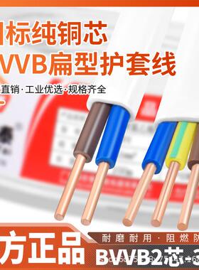 国标纯铜白色黑色RVVBBVVB23芯11.52.5平方电缆电源护套平行线