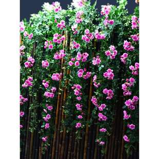 仿真蔷薇花装饰网红藤条假花玫瑰花瀑布墙壁门头吊花塑料藤蔓绿植