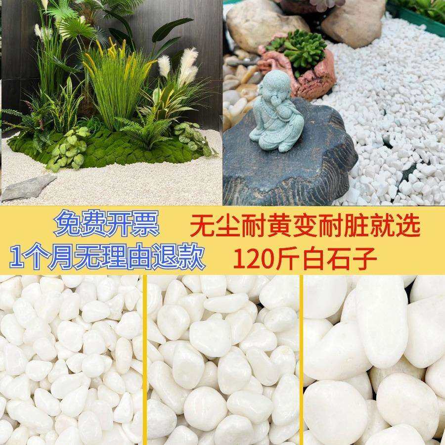 天然白色鹅卵石铺地造景园林景观庭院多肉绿植步町石白石子白沙石,玩具/童车/益智/积木/模型,其它,淘宝优惠券,粉丝福利购,淘宝优惠卷