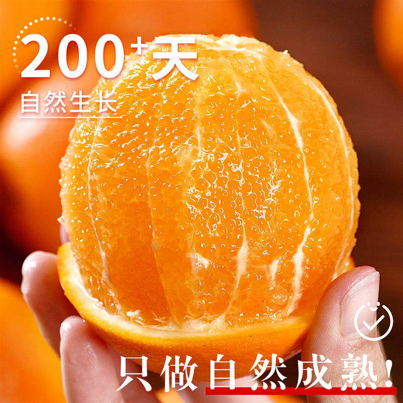 【顺丰到家】江西赣南脐橙赣州橙子直发新鲜当季正宗源产地礼盒装