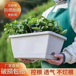 加厚阳台长条种菜盆家用长方形种菜箱霍仑盆蔬菜种植塑料花盆特大