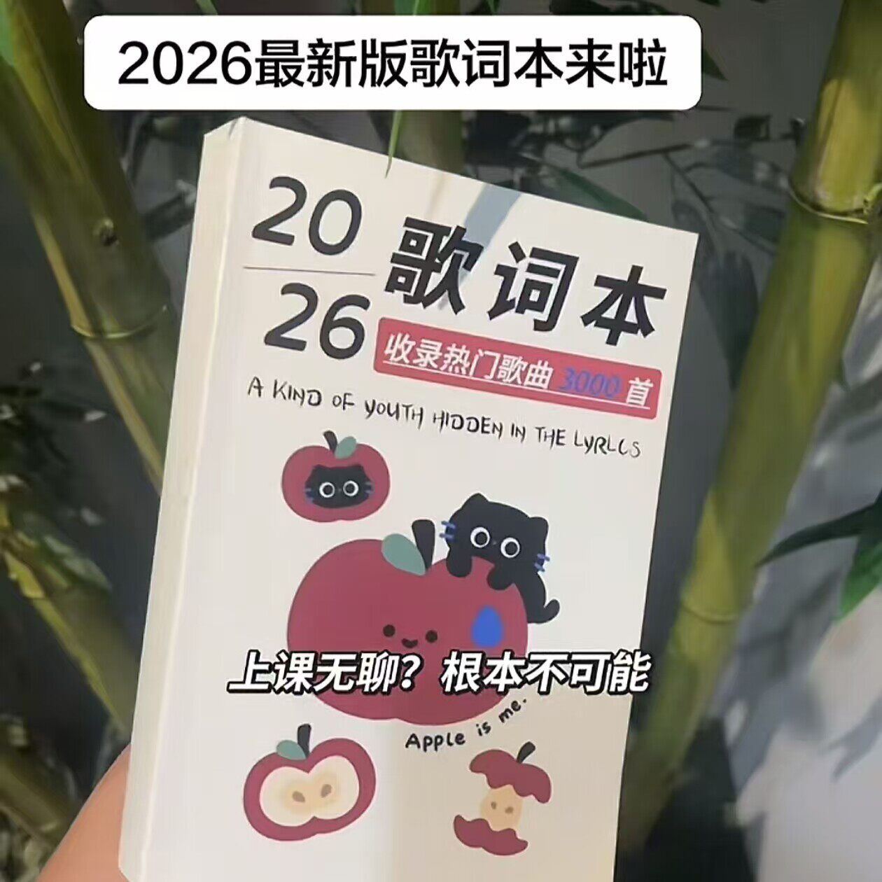 2026新款歌词本火爆流行音乐经典华语乐坛网易云歌曲免抄歌词本