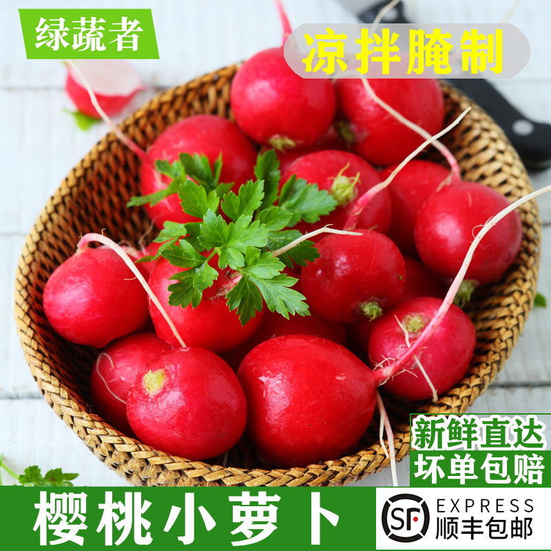 新鲜樱桃萝卜小红圆萝卜沙拉食材